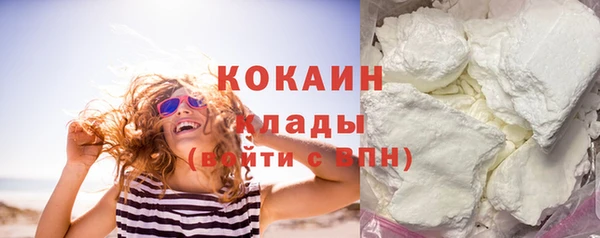 прущие грибы Волоколамск