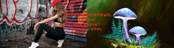 мдпв Волосово