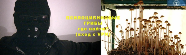 прущие грибы Волоколамск