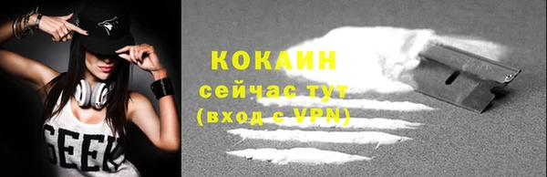 прущие грибы Волоколамск