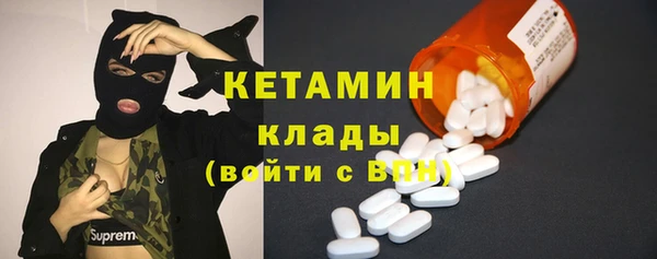 прущие грибы Волоколамск