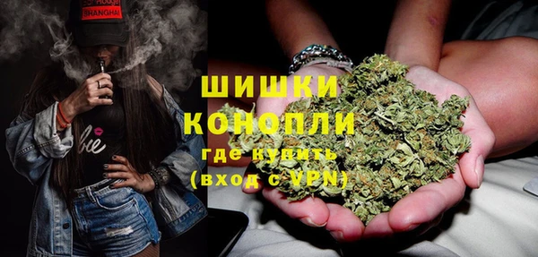 прущие грибы Волоколамск
