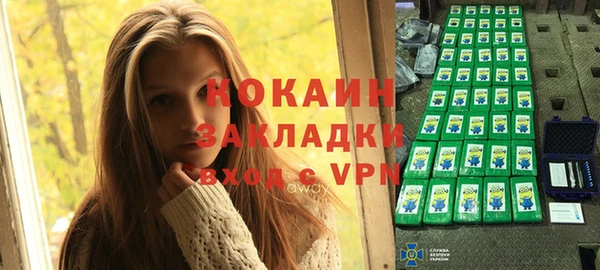 прущие грибы Волоколамск
