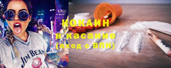 прущие грибы Волоколамск