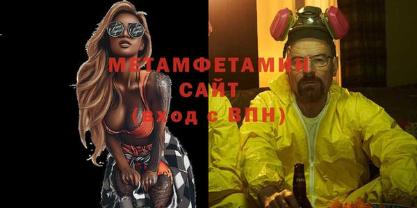 прущие грибы Волоколамск