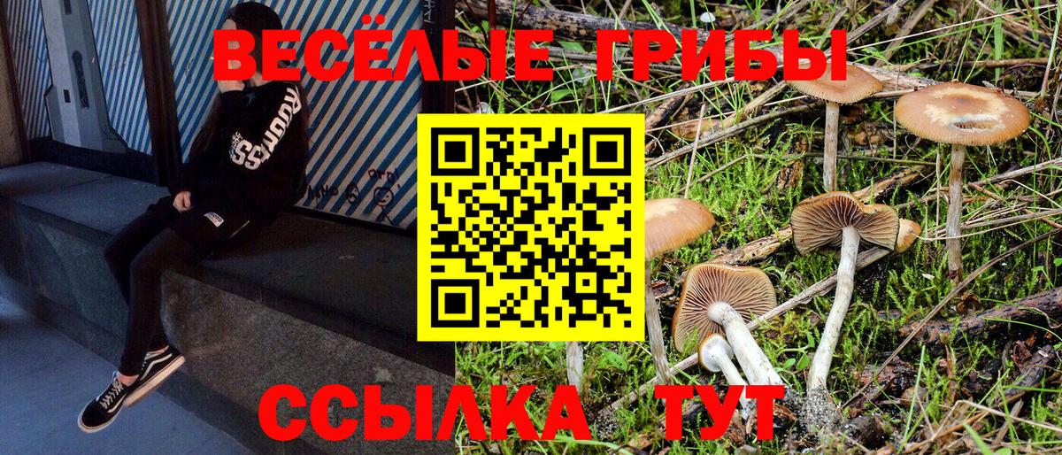 Псилоцибиновые грибы мицелий Иркутск