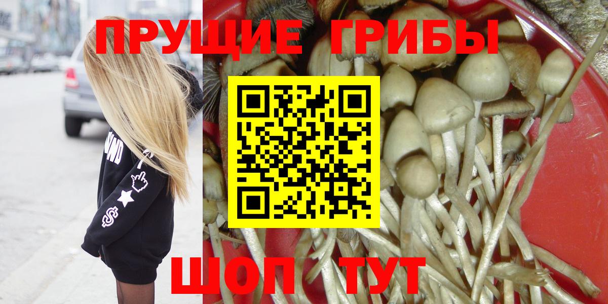 Галлюциногенные грибы GOLDEN TEACHER  Вход с VPN  Иркутск 